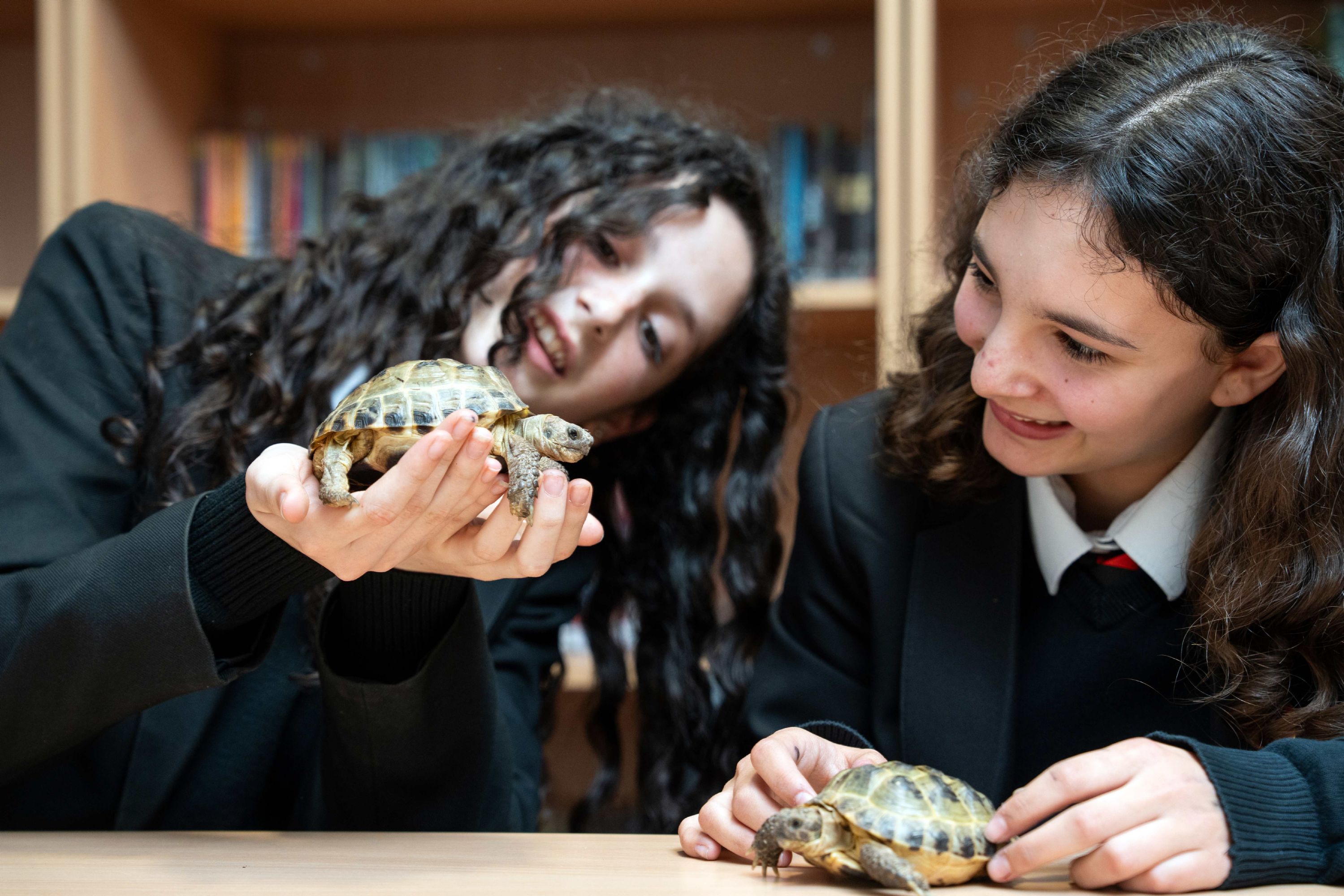 Year 7 admissions at Trinity Secondary